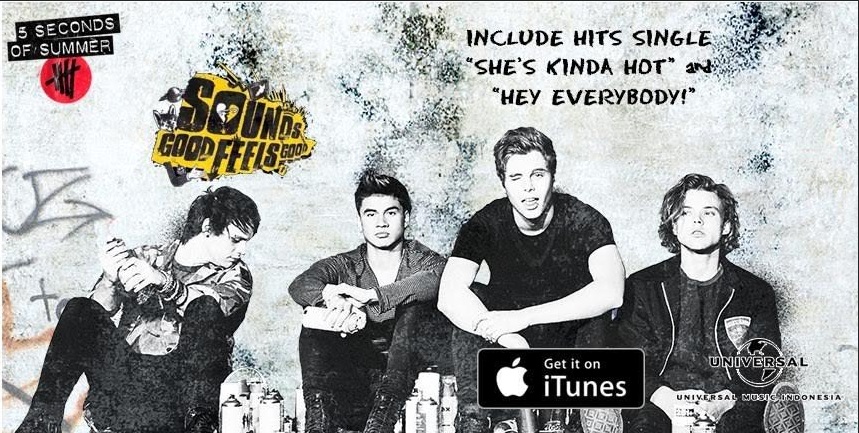 November Artist of the Month: 5 Seconds of Summer