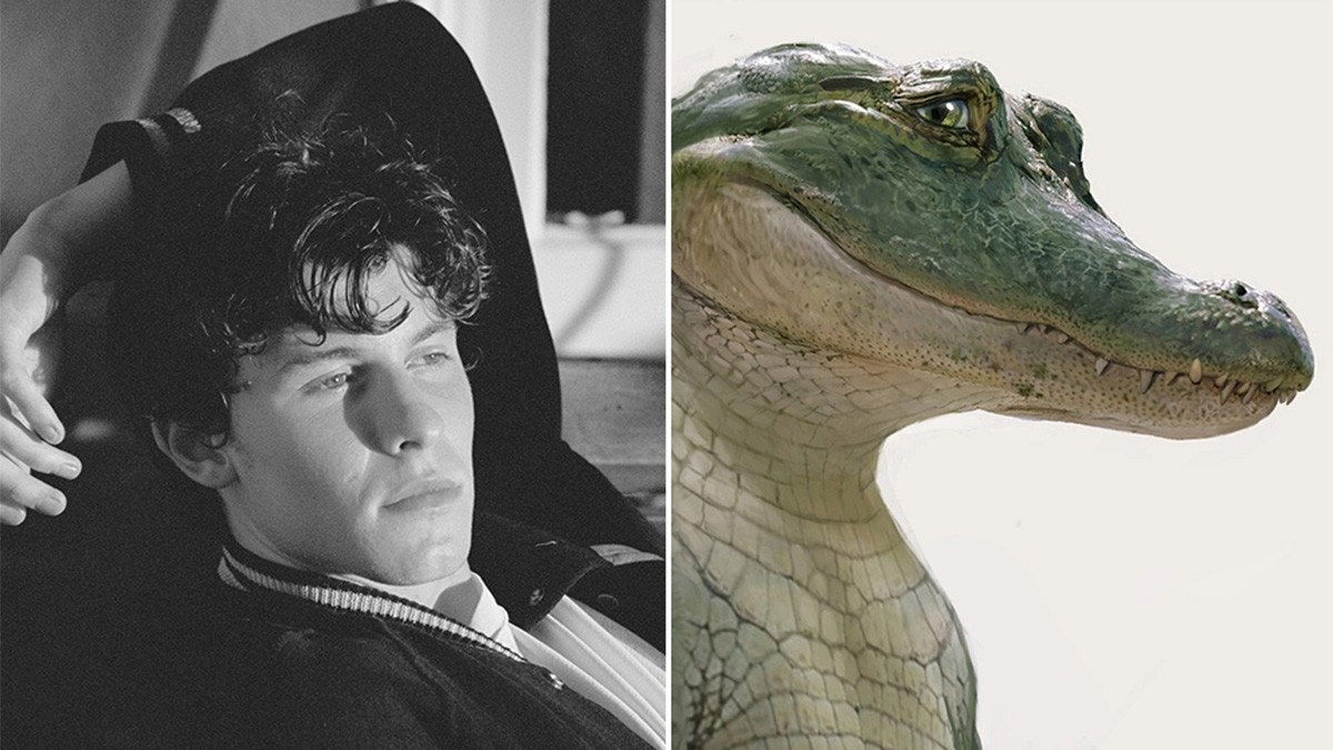 Shawn Mendes Rilis 'Heartbeat' Untuk Soundtrack Film "Lyle, Lyle, Crocodile!"